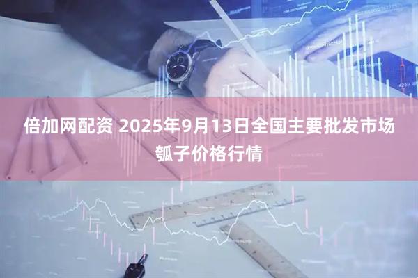 倍加网配资 2025年9月13日全国主要批发市场瓠子价格行情